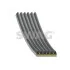 Ремінь генератора Citroen C5/Jumpy/Peugeot 3008/5008/Expert 2.0BlueHDI 16- 33108872