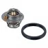 Termostat FORD 50105992