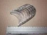 Вкладиші корінні +0,50mm 4пари Suzuki H20A M662A050