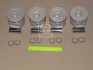 Поршень TEIKIN 39653ASTD (фото 1)