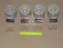 Поршень TEIKIN 39653ASTD (фото 1)