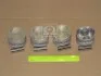 Поршни ремонт (+0.25мм) (к-кт на мотор) Toyota 4A-FE-II TEIKIN 46262025 (фото 1)