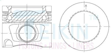 Поршні ремонт +0.50mm(к-кт на двигун)) VAG 2.0TDI TEIKIN 48222AG050