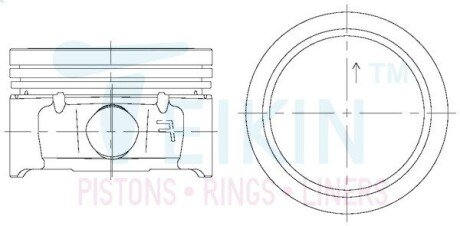 Поршні стандарт (STD) (к-кт на мотор) Peugeot TU5JP4 TEIKIN 67106STD