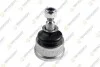 TEKNOROT BMW Шаровая опора короткая E36 316i-325i 11/90- B-306
