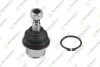 TEKNOROT CHRYSLER Шаровая опора нижняя лев./прав. 300C 05- CR-125