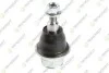 TEKNOROT FORD Шаровая опора F-150 15- FO-1134