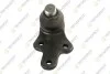 TEKNOROT FORD Шаровая опора прав.C-Max,Focus 10- FO-495