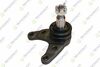 TEKNOROT MAZDA Шаровая опора нижн.BT-50 07-,Ford Ranger 06- MA-560