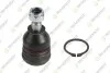 TEKNOROT MAZDA Шаровая опора верхняя Mazda 6 02- MA-704