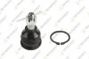 TEKNOROT NISSAN Шаровая опора нижн.Laurel N-505