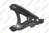 TEKNOROT RENAULT Рычаг передн.прав.16mm R19 I,II 88-,Megane I 96- R-525