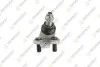 TEKNOROT TOYOTA Шаровая опора нижн.прав.Camry 01-,Previa,Lexus RX 300/400 03- T-185