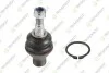 TEKNOROT TOYOTA Шаровая опора нижн.лев./прав.Fortuner 04-,Hilux III 06- T-254