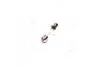 Лампа софитная C5W SV8,5-8 35mm 12V 10W &lt;&gt; TEMPEST 12V10W_C5W SV8,5-8 3 (фото 2)
