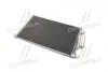 Конденсатор кондиционера NISSAN QASHQAI (J10) 07- TEMPEST TP.15940039 (фото 3)