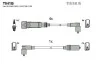 Комплект кабелiв запалювання T041B
