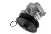 Насос охолоджуючої рідини, з ущільненням FORD TRANSIT LAND ROVER DEFENDER 2.4D 01.00-02.16 THERMOTEC D1G056TT (фото 2)