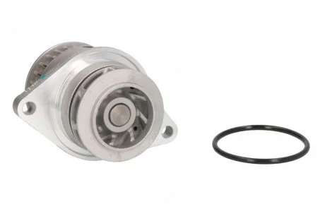 Насос охолоджуючої рідини, з ущільненням AUDI A2 SEAT LEON VW BORA, BORA I, GOLF IV, LUPO I, POLO, POLO III 1.6 09.98-06.06 THERMOTEC D1W044TT
