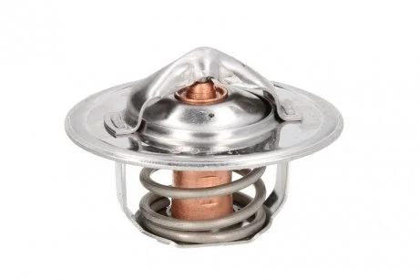 Термостат THERMOTEC D2FO001TT