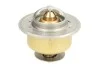 Термостат THERMOTEC D2JD009TT (фото 1)