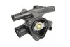 Термостат, охолоджуюча рідина THERMOTEC D2R017TT (фото 3)