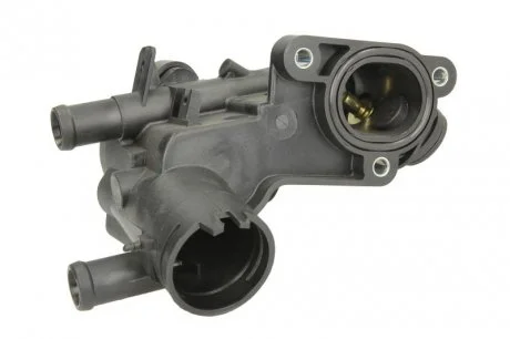 Термостат THERMOTEC D2W009TT