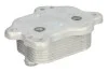Охолоджувач мастила THERMOTEC D4B029TT (фото 2)
