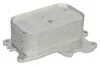 Охолоджувач мастила THERMOTEC D4Y004TT (фото 1)