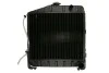 Радіатор, охолодження двигуна THERMOTEC D7AG008TT (фото 1)