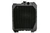 Радіатор, охолодження двигуна THERMOTEC D7AG061TT (фото 1)