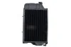 Радиатор THERMOTEC D7AG077TT (фото 1)