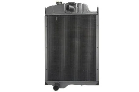 Радіатор, охолодження двигуна THERMOTEC D7AG088TT