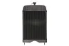 Радиатор, охлаждение двигателя THERMOTEC D7AG120TT (фото 2)