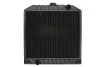 Радіатор, охолодження двигуна THERMOTEC D7AG175TT (фото 1)