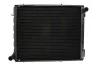 Радіатор, охолодження двигуна THERMOTEC D7AG184TT (фото 1)