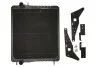 Радіатор, охолодження двигуна THERMOTEC D7AG453TT (фото 1)