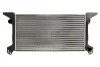 Радиатор THERMOTEC D7G013TT (фото 1)