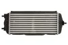 Інтеркулер THERMOTEC DA03005TT (фото 2)