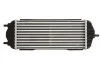 Інтеркулер THERMOTEC DA03006TT (фото 2)