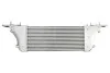 Радіатор інтеркулера Nissan Pathfinder/NP300 Navara 3.0dCi 10- THERMOTEC DA1015TT (фото 2)