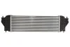 Інтеркулер THERMOTEC DA8001TT (фото 2)