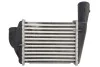 Інтеркулер THERMOTEC DAA029TT (фото 2)