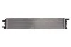 Інтеркулер THERMOTEC DAA031TT (фото 2)