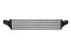 Інтеркулер THERMOTEC DAA032TT (фото 2)