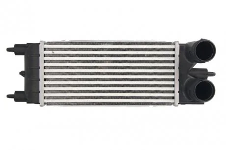 Інтеркулер THERMOTEC DAC020TT