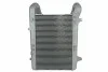 Інтеркулер THERMOTEC DADA002TT (фото 2)