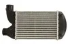 Інтеркулер THERMOTEC DAF006TT (фото 1)