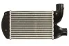 Інтеркулер THERMOTEC DAF006TT (фото 2)