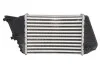 Інтеркулер THERMOTEC DAF009TT (фото 2)